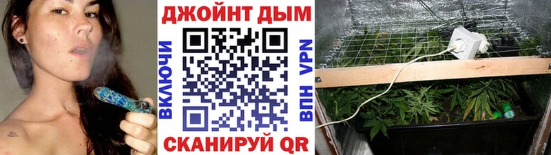 Купить наркотики сайты Нальчик Конопля  Псилоцибиновые грибы  ГАШ  Мефедрон 