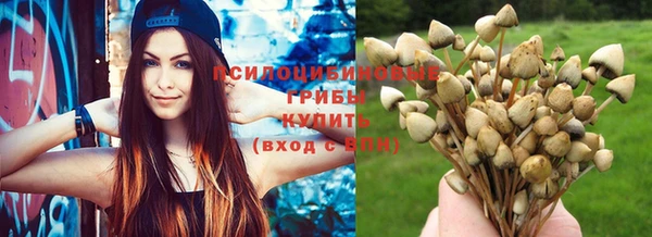 ГАЛЛЮЦИНОГЕННЫЕ ГРИБЫ Алексеевка
