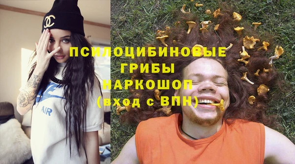 ГАЛЛЮЦИНОГЕННЫЕ ГРИБЫ Алексеевка